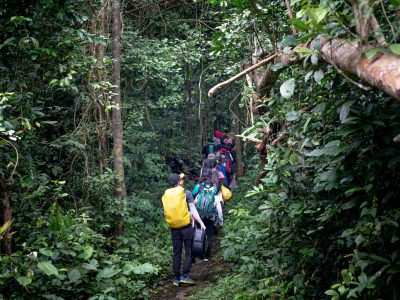 High angle back view of faceless hikers with backpacks walking on pathway in lush rainforest
